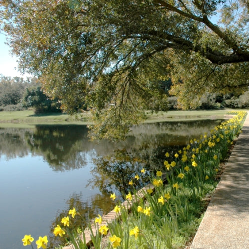 HOTMA Policy Update - November 7-8, 2023 - Huntsville, AL
